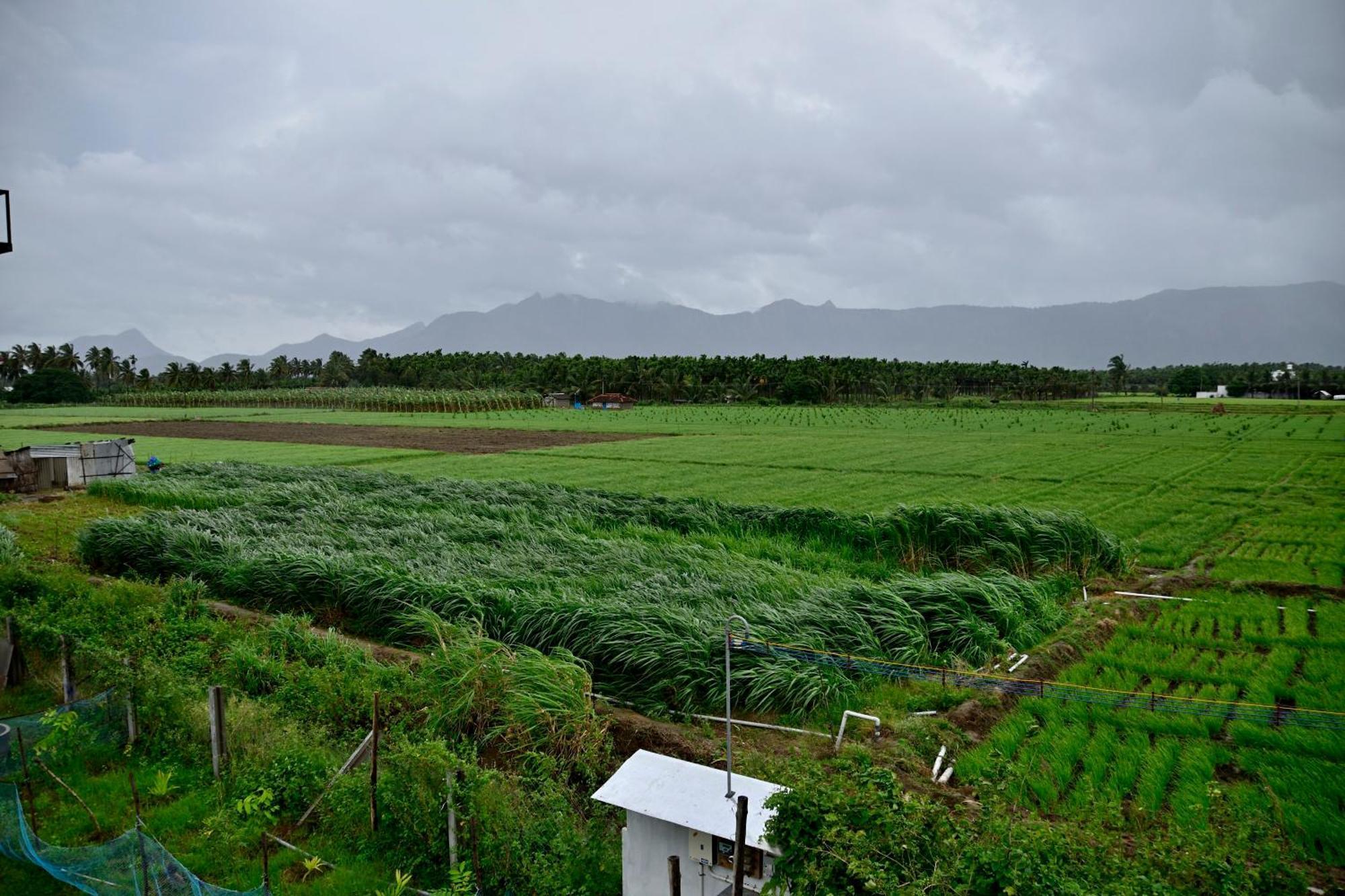 Lakshmi Illam Near Isha Yoga Adiyogi Apartment Alandurai Bagian luar foto